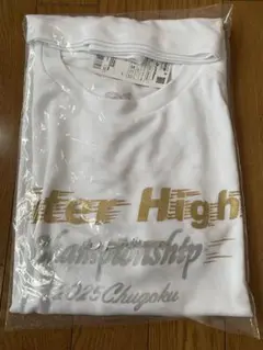 phiten バレーボールシャツ サイズ0
