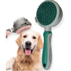 Item thumbnail for item 26eaea7a-2606-46a5-b7d7-f2b964286567