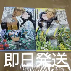 秘密の森の魔術師はのどかを願う 上下セット