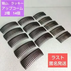 ❮ラッキー❯シンプルアップコーム2種14個(新品未使用)日本製、フランス製