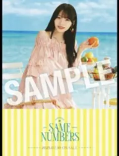 乃木坂46 岡本姫奈 39th Same numbers 会場限定　B2ポスター