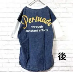 【GORGE/ゴージ】ロゴ入りTシャツF後ろデニム異素材 綿混紡カットソー