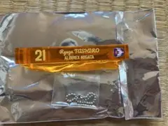 プレイヤーズルームキーホルダー　田代琉我　アルビレックス新潟
