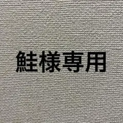 専用ページ