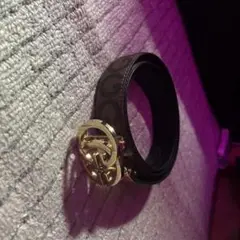 Item thumbnail for item 77815345-f7c0-4e6b-b069-80ea5d30a8e5