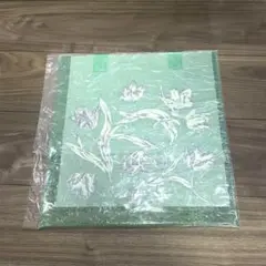 阪神TORACO DAY2025 Francfranc クリアトートバッグ