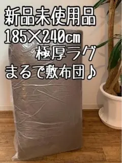 Item thumbnail for item d553b2fc-b2fb-41f8-b6ae-5ec8f3c72619