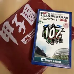 第107回全国高校野球選手権大会記念グッズ