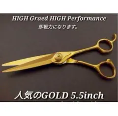 Item thumbnail for item ca3b3113-f342-4e9c-a5ab-9a92556913f6