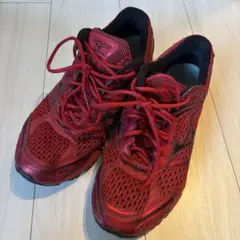 MIZUNO WAVE INSPIRE 7 28cm レッド