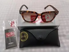 新品 Ray Banレイバン RB5377 サングラス METEOR べっ甲