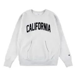 Item thumbnail for item d456d6bc-abc7-4216-8994-24df4262f38c