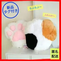 Item thumbnail for item 2e929671-886a-4724-82e3-3bcb536bb6f9