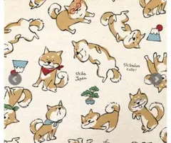 柴犬　ごろん　ヘソ天　生地　綿麻キャンバス　生成り　110×50