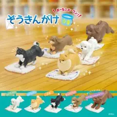 ぞうきんがけ当番　おーるふぉーワン！　全5種コンプリート