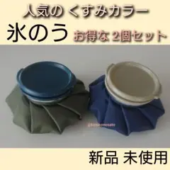 氷のう アイシングバック グリーン ネイビー 2個セット アイスバック ゴルフ