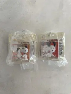 PEANUTSパッケージミニチュアコレクション　スヌーピー　セット