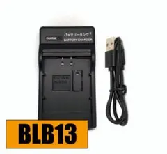Item thumbnail for item 51d2a49c-be85-48c3-8f1e-51ac9f2b9c69