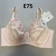 ワコール　ラゼ　フルカップ　ブラジャー　E75