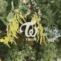 最終 TWICE トレカ サナ 3枚 MORE&MORE