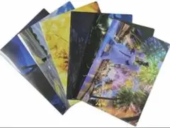 Item thumbnail for item 7eb851e2-2079-4d6f-aea3-d972f39834a6