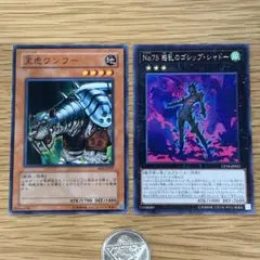 遊戯王　王虎ワンフー　No.75 惑乱のゴシップシャドー　2枚