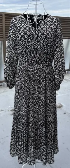 Item thumbnail for item 9f4594b2-dd77-4502-a9d0-c20b51765d31