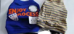 Item thumbnail for item 929c7de8-1baa-4117-b566-5f5aff2d2026