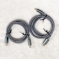 USB Type C to Type C ケーブル【1m 2本セット】 グレー
