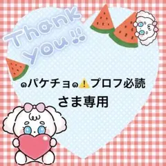 ๑パケチョ๑⚠️プロフ必読さま専用