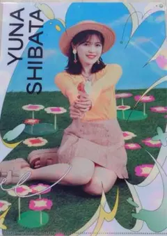 乃木坂46柴田柚菜　真夏の全国ツアーカフェ&13thバスラクリアファイルセット
