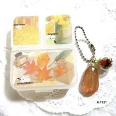 シマエナガ❁⃘*.゜レジンピルケース 紅葉