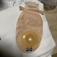センシュラ1プラス