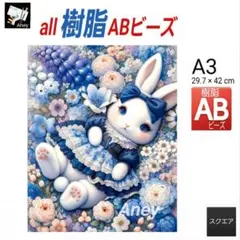 《AB807》all樹脂ABビーズ 　ダイヤモンドアート　キット