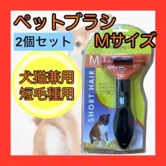Item thumbnail for item 410c1d40-382e-4762-bdf6-8e15fc8a6bf6
