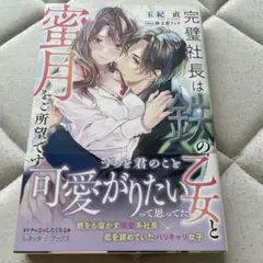 完璧社長は鉄の乙女と蜜月をご所望です