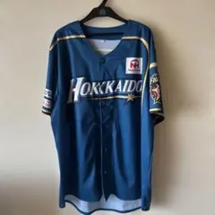 日ハム 2018年 WE LOVE HOKKAIDO 配布 ユニフォーム