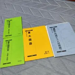 駿台テキスト 東大国語 東大現代文 漢文 計4冊