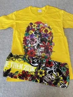 美品 ももクロ Tシャツu0026タオル