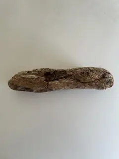 Item thumbnail for item 98721b10-6534-4be2-b096-f655e9b4b951