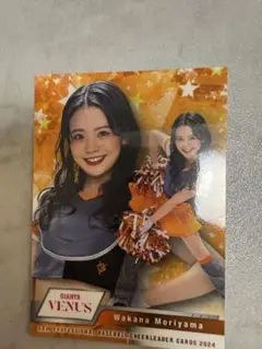 Item thumbnail for item 18798e06-2f4b-4316-98e7-08da29b0fa90