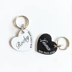 Item thumbnail for item 1aff3786-436c-43c9-9f73-0790c643f68a