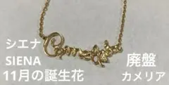 ☆廃盤☆ K10シエナ 誕生花 11月 ネックレス