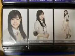 乃木坂46 柴田柚菜　生写真  singout　コンプ