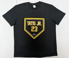 Item thumbnail for item 9657e48c-5355-4e59-8b5b-06fdec5d5d07