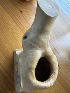 Item thumbnail for item 12116493-ac69-48e9-85cf-2ad5bec7f26d