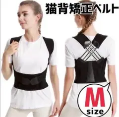 Item thumbnail for item 898c81ff-2dc9-45b0-8784-68cfb0d03763