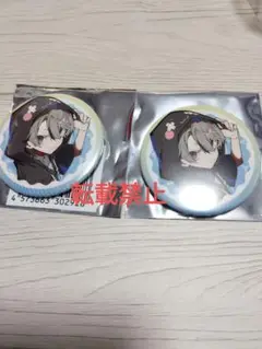 CRフェス ととみっくす　ランダム缶バッジ 2個　CrazyRaccoon b
