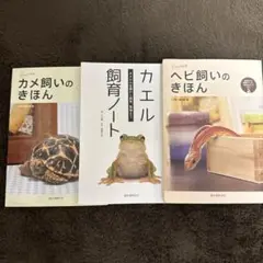 Item thumbnail for item 676424a0-9187-47cf-960e-52f46971d48f