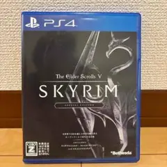 The Elder Scrolls V: Skyrim Special Edit